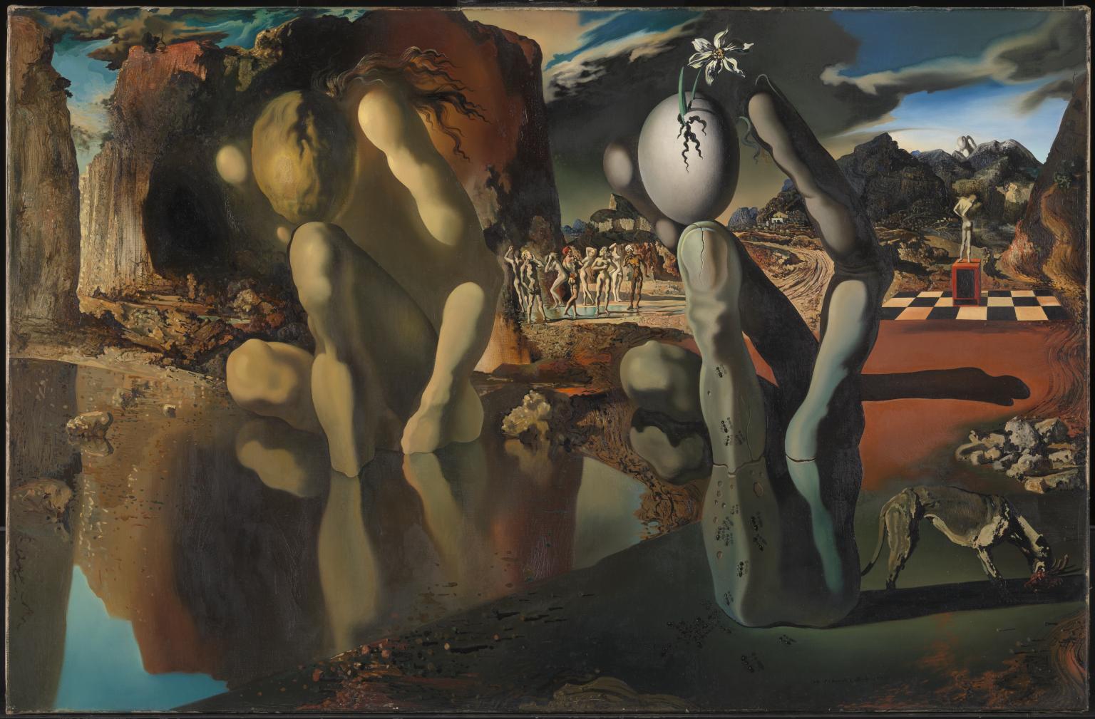 Salvador Dalí'nin Narcissus'un Dönüşümü tablosu