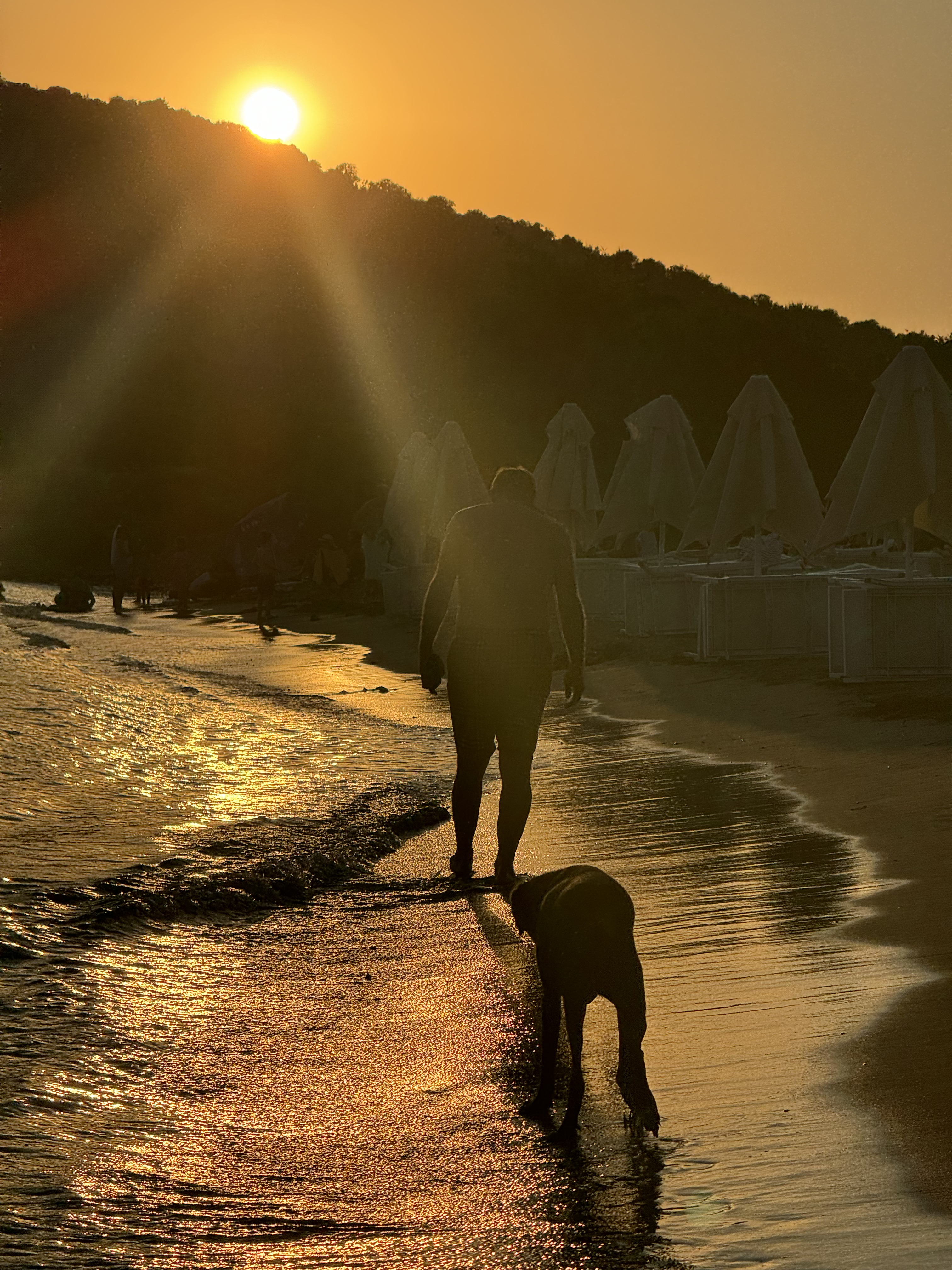 Bodrum sahilinde gün batımında bir adam ve bir köpek