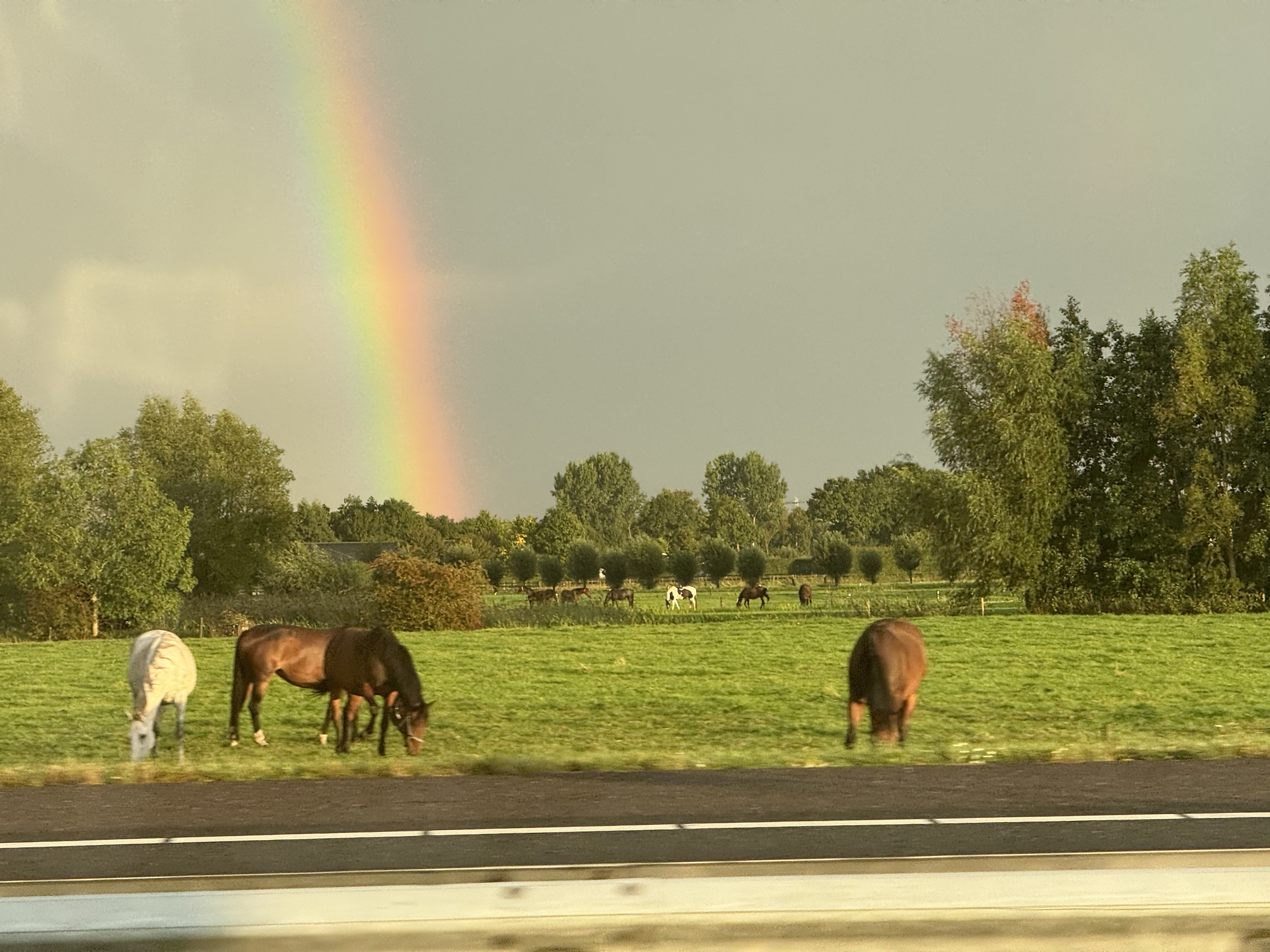 Bir yağmurun ardından beliren gökkuşağı, gündelik bir manzarayı olağanüstü bir an’a dönüştürür.